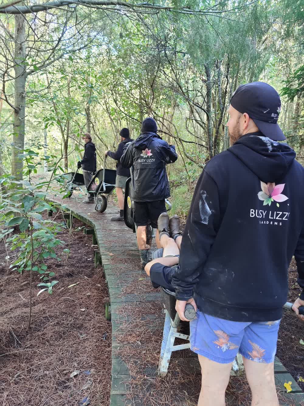 Wheelbarrows on the move down a bush track